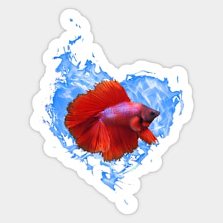 Red Betta Fish In Blue Flame Heart Sticker